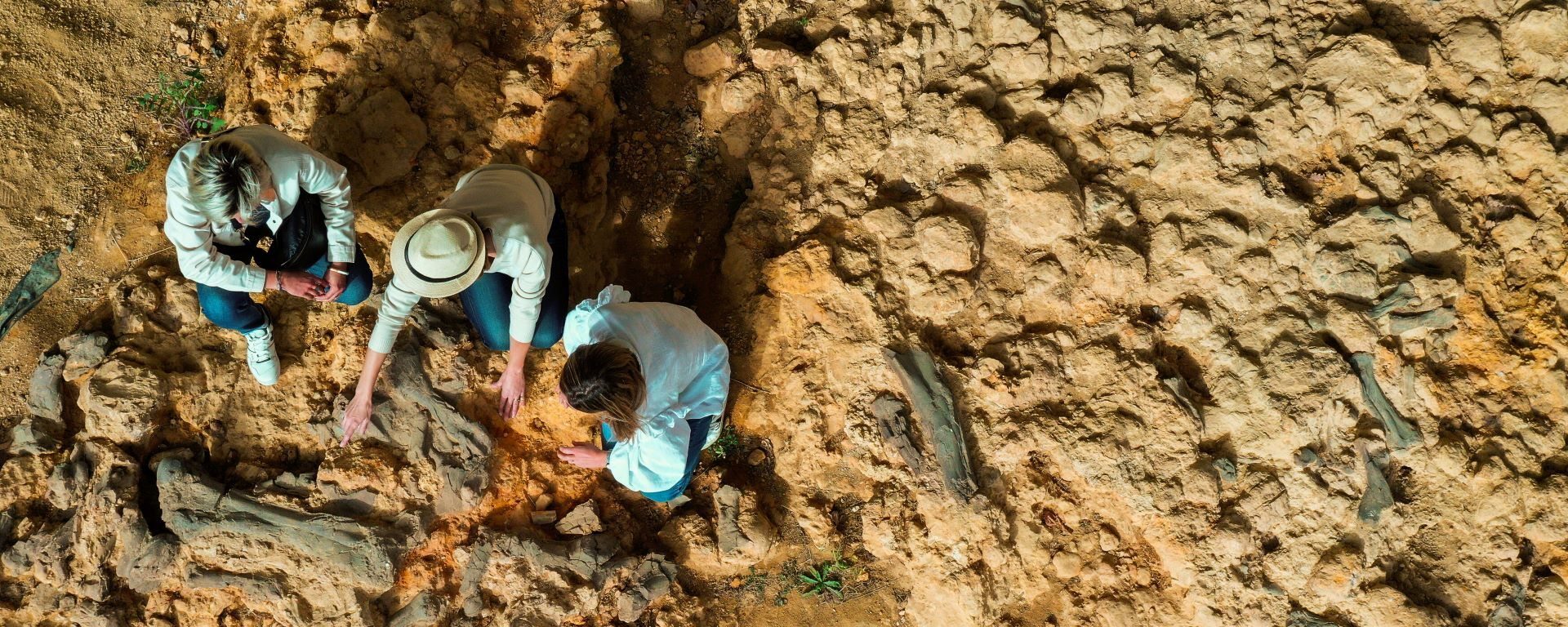 Site paléontologique de Béon