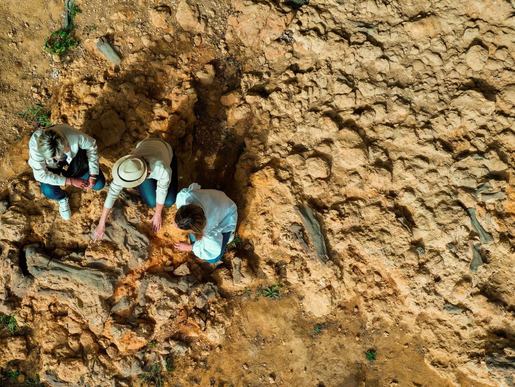 Site paléontologique de Béon