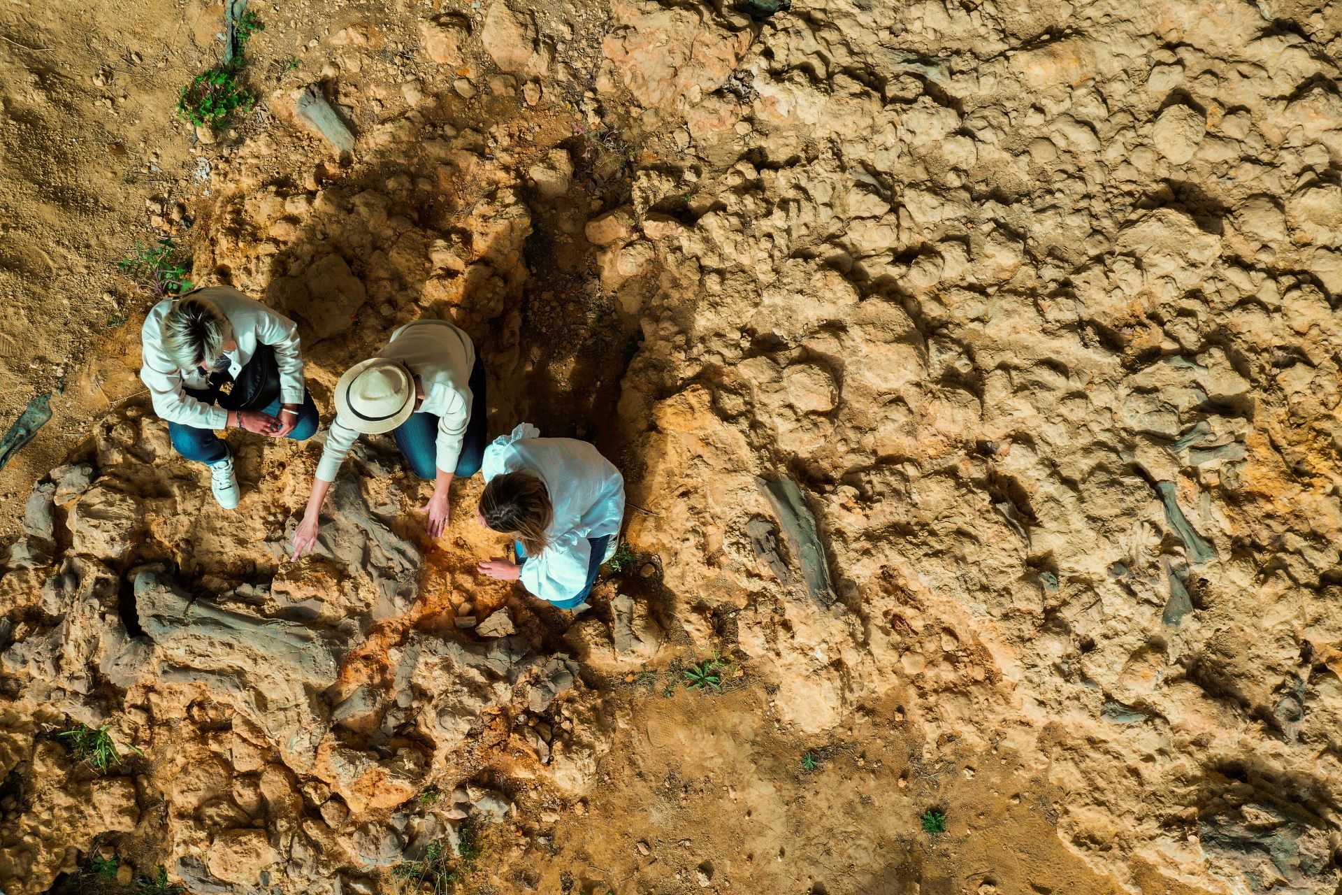 Site paléontologique de Béon