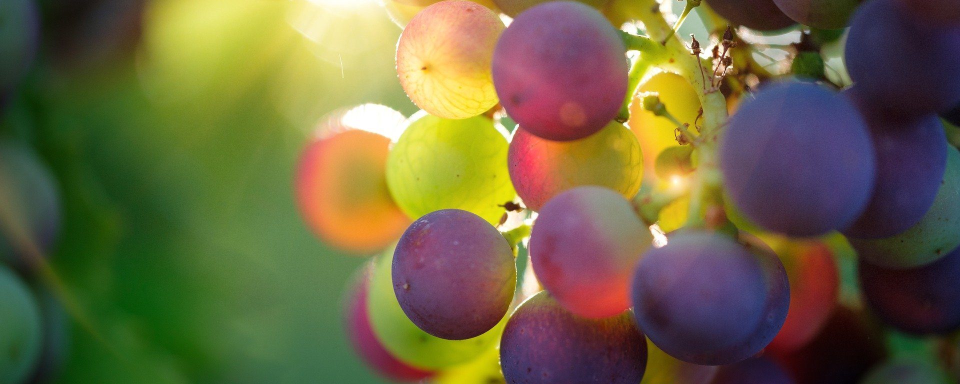 Séjour papilles et pupilles dans le Gers