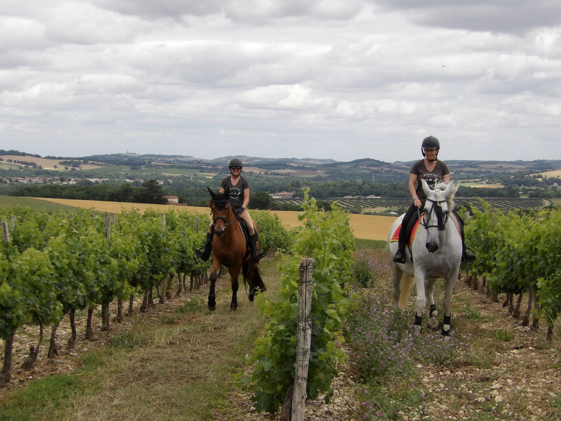 la Route européenne d'Artagnan dans le Gers -Lupiac Condom à cheval