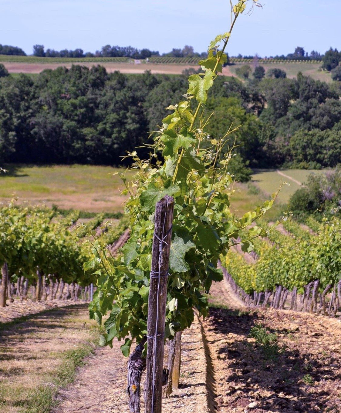 Séjour papilles et pupilles dans le Gers