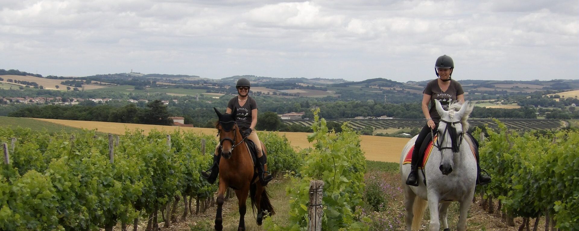 la Route européenne d'Artagnan dans le Gers -Lupiac Condom à cheval
