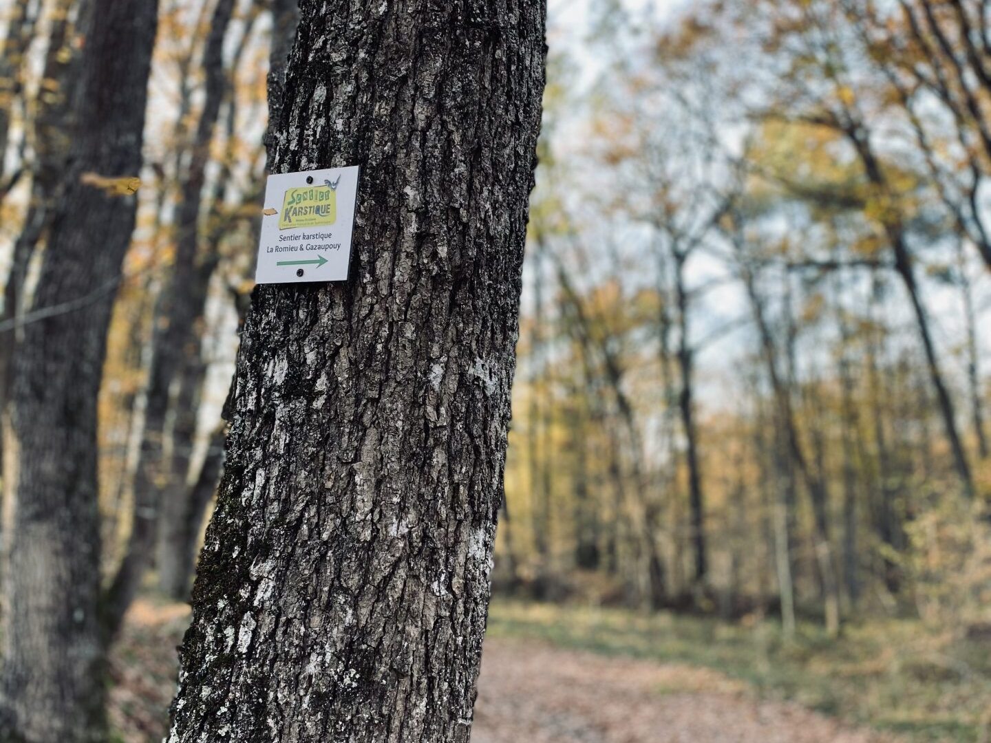 Sentier Karstique La Romieu - activités et loisirs - randonnées