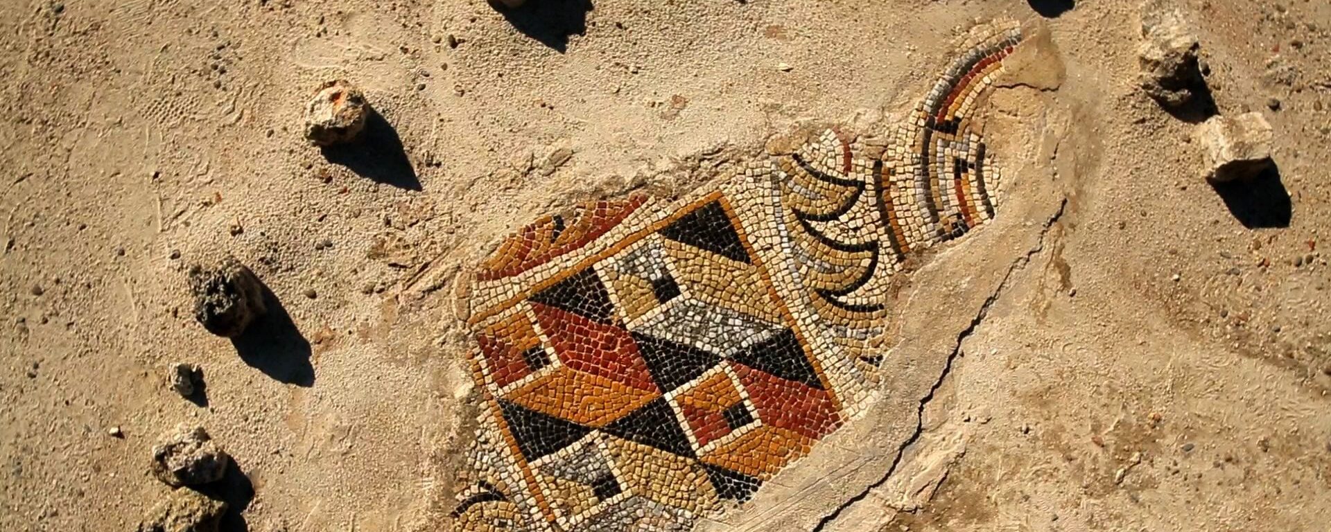 Mosaïque Villa gallo romaine de Séviac - Elusa Capitale antique - Eauze - Montréal du Gers - Antiquité dans le Gers