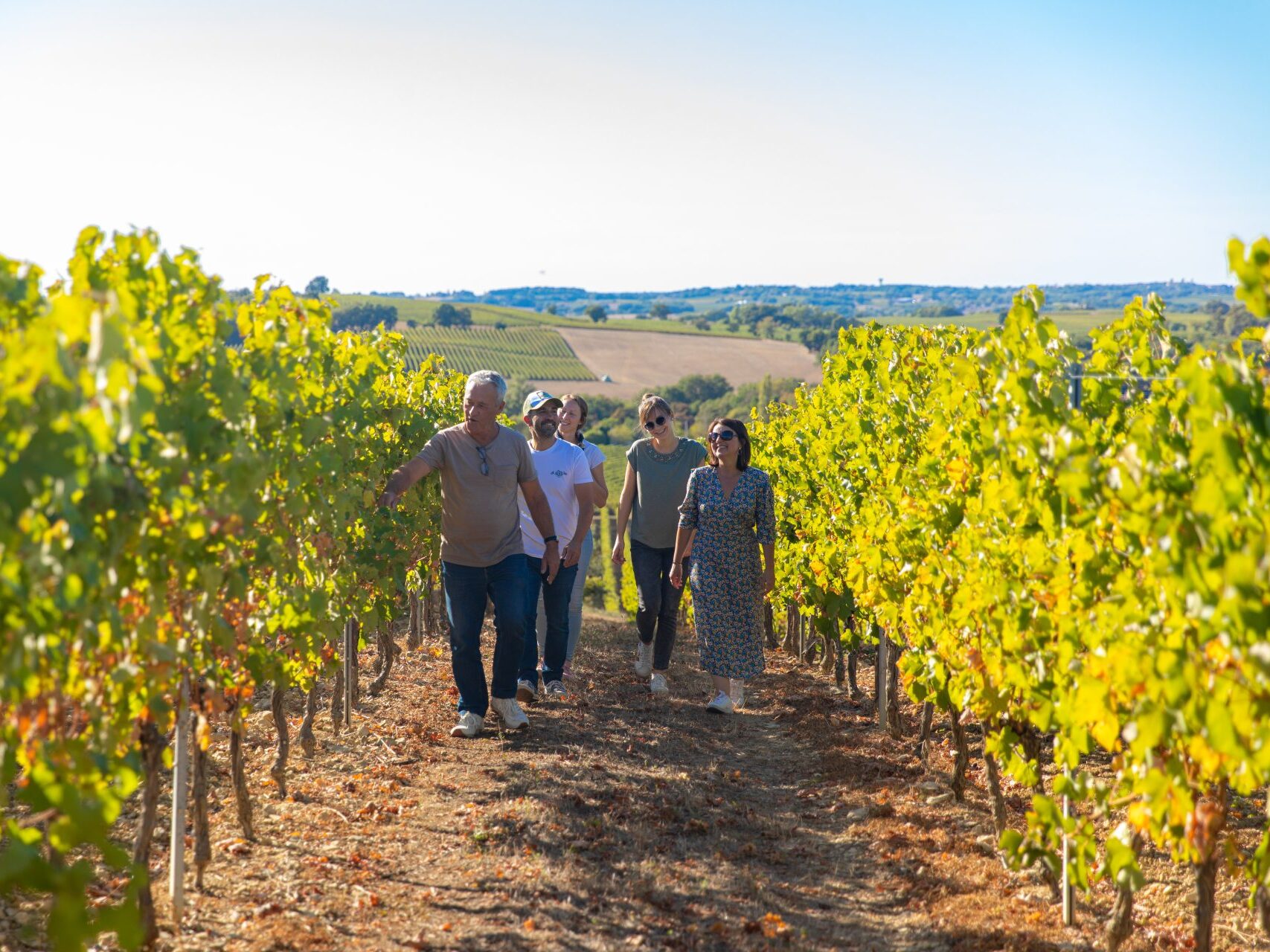 Une virée dans le vignoble Armagnac Gascogne