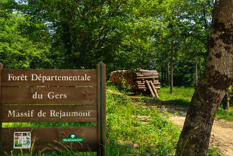 Foret de réjaumont